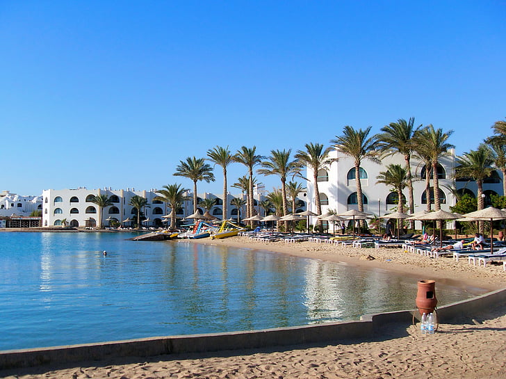 Tunísia, Monastir, vacances, relaxació, viatges, platja de sorra, arbre