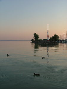 湖, バラトン湖, 水, 自然, ポート, 夕暮れ