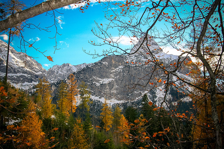 mountains, autumn, leaves, landscape, alpine, zugspitze mountain, nature