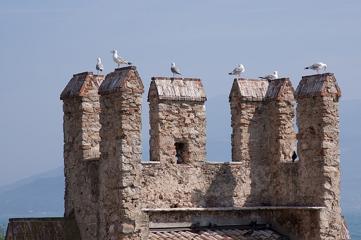 battlements, gulls, castle, fortress