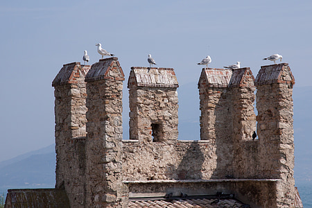 ameias, gaivotas, Castelo, Fortaleza