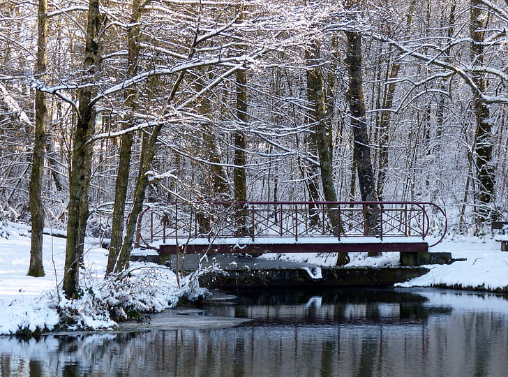 zimowe, śnieg, drzewa, staw, Most, snowy, biały