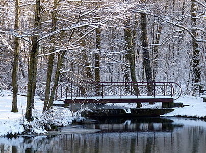 zimné, sneh, stromy, rybník, Most, zasnežené, biela
