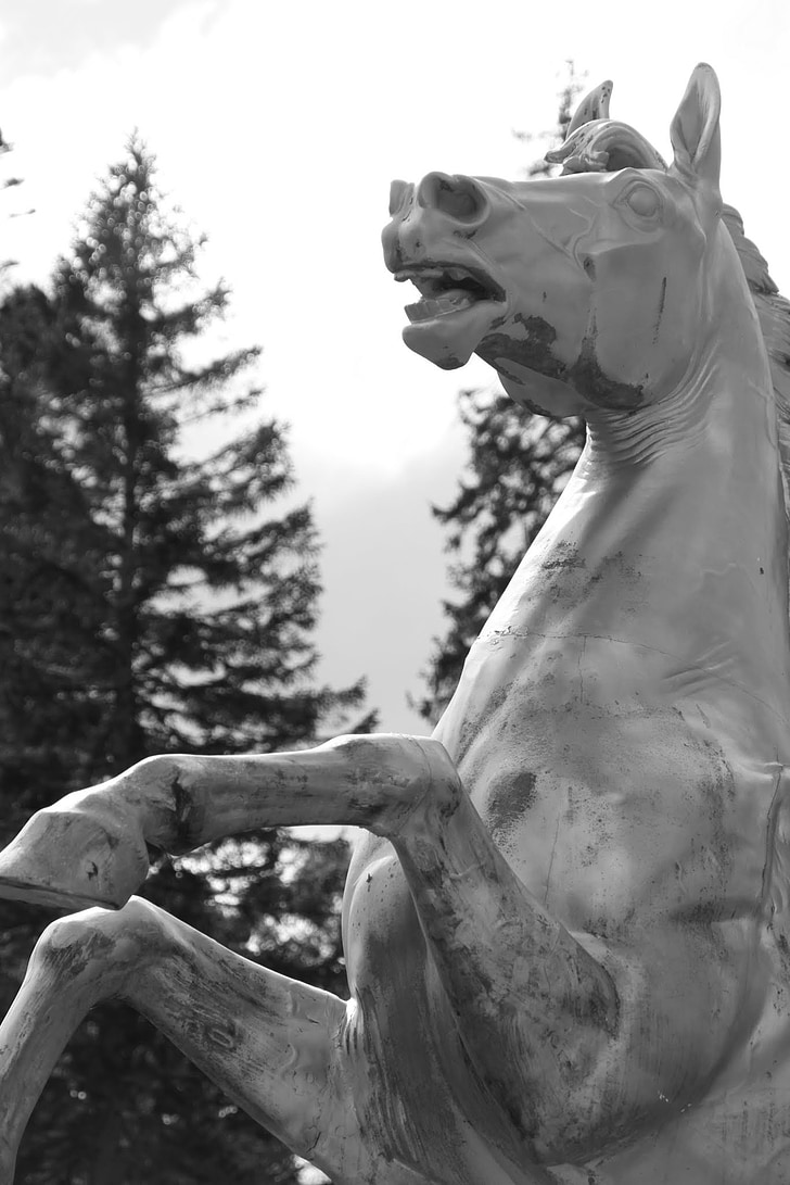 con ngựa, bức tượng, Ai Len, Powers court
