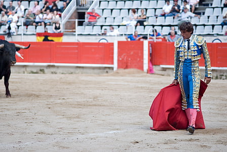 matadort, amikor, Arena, spanyol, bikaviadal, Ez a híres bikaviador, büszkeség, bikaviadal