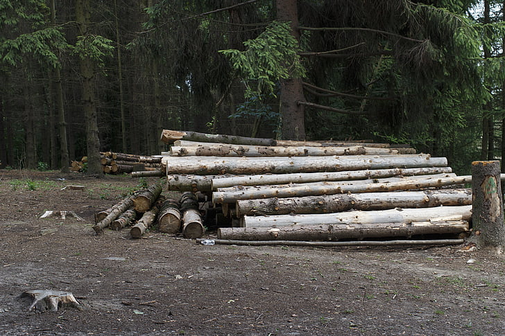 log, balok keseimbangan, sepanjang, penebangan, kotoran, kayu, woodworking