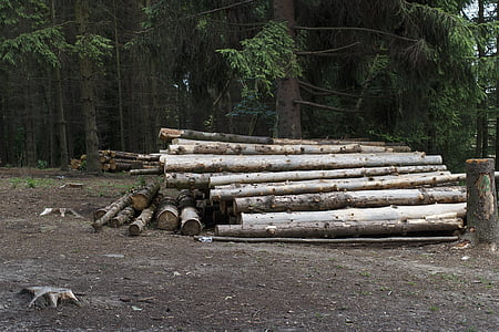 logs, trave de equilíbrio, ao longo de, de abate, sujeira, madeira, para madeira