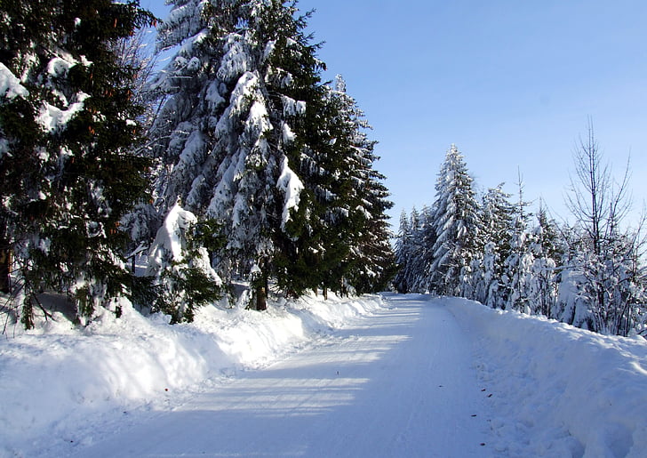 Winter, Straße, Schnee, Frost, Sahnehäubchen, eisige, Filialen