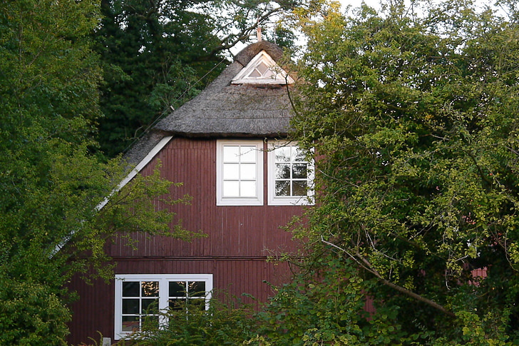 venkovský dům, dovolená, léto, Došková střecha, East frisia, Severní moře, okraji lesa