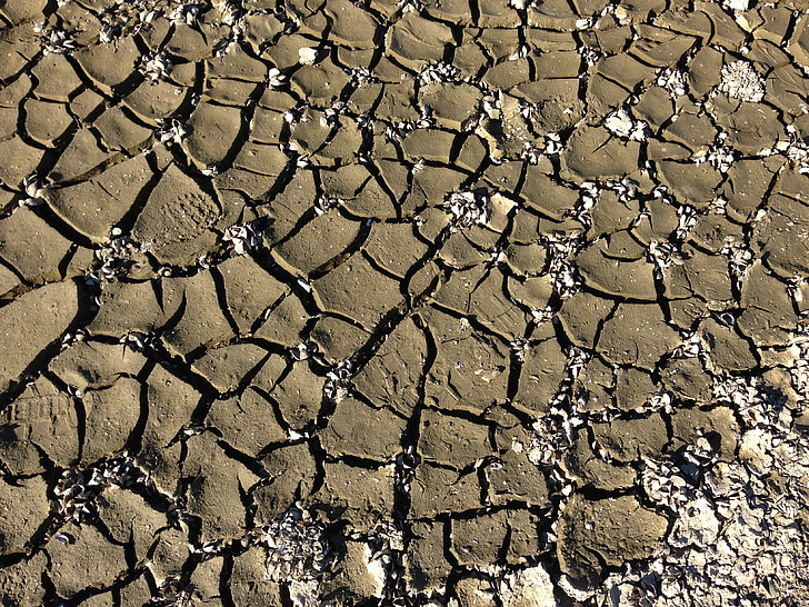 ground, earth, cracked, dry soil, dehydrated, cracks