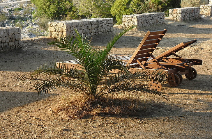 ghế tắm nắng mặt trời, gỗ, Palm, mặt trời, thư giãn, kỳ nghỉ