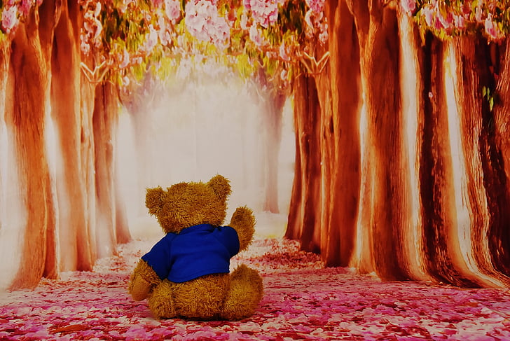 longing, miss, teddy, cute, soft toy, forest, trees
