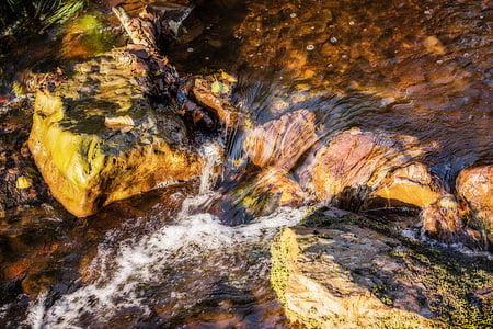 agua, agua que corre, Río, Creek, aguas, naturaleza, Splash