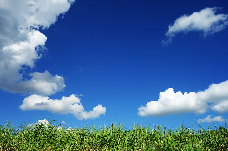 blue sky, bright, clouds, countryside, cumulus clouds, field, grass