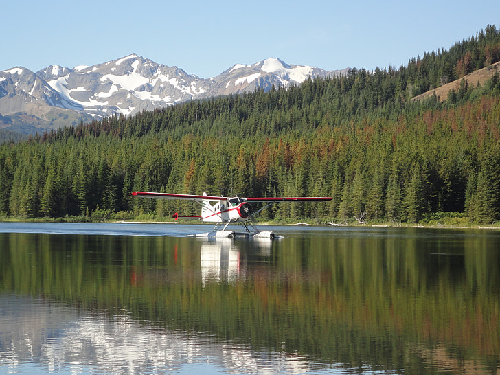 vandens lėktuvas, Kanada, ežeras, kalnai, miško, skristi, Britų Kolumbija
