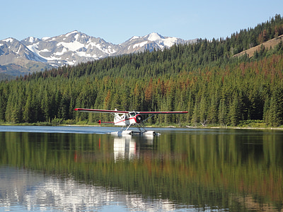 水上飞机, 加拿大, 湖, 山脉, 森林, 飞, 不列颠哥伦比亚省