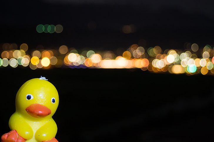 quitscheente, duck, rubber duck, toys, colorful, bokeh, game characters