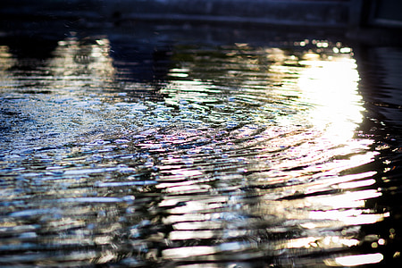 ripples, reflection, water, water ripple, surface, wave, light
