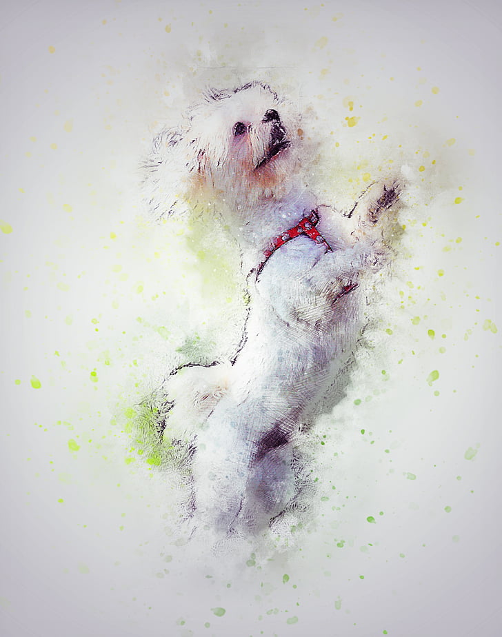 dog, pet, white, art, abstract, watercolor, vintage