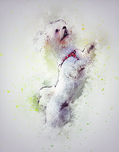 con chó, vật nuôi, trắng, nghệ thuật, tóm tắt, màu nước, Vintage