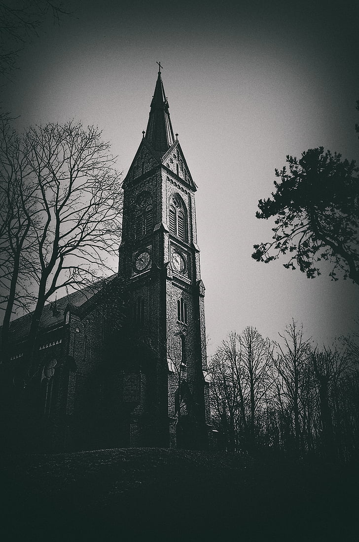 escala de grisos, fotos, formigó, l'església, envoltat, nua, arbres