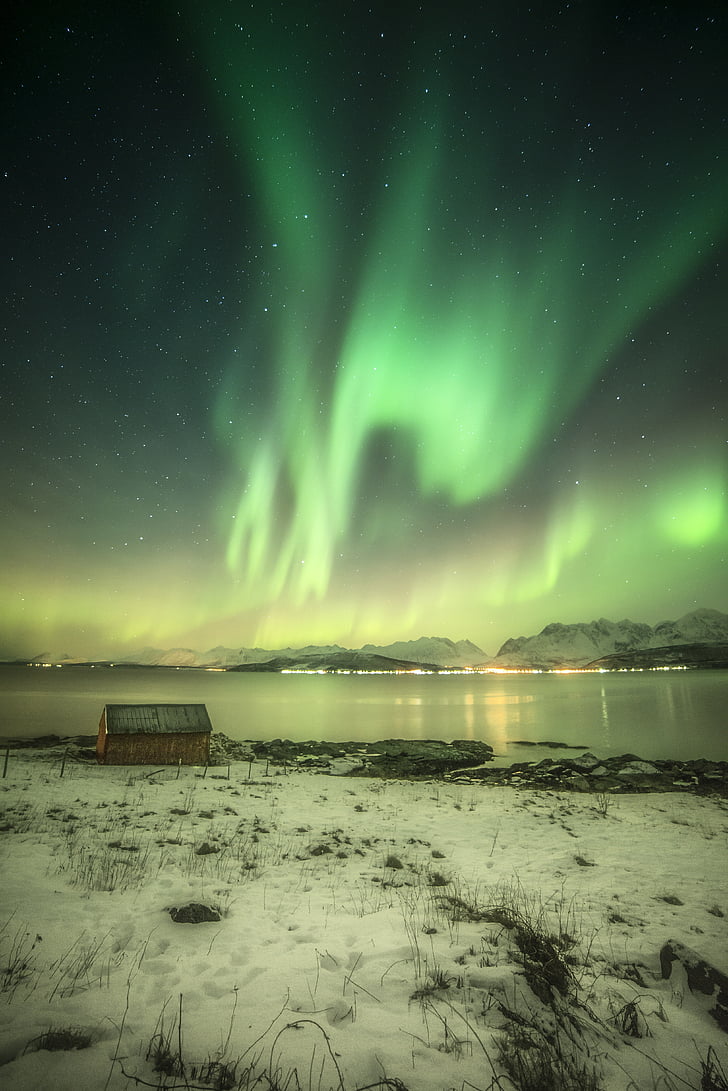 noche, luces del norte, luz, invierno, Noruega, Casa, mar