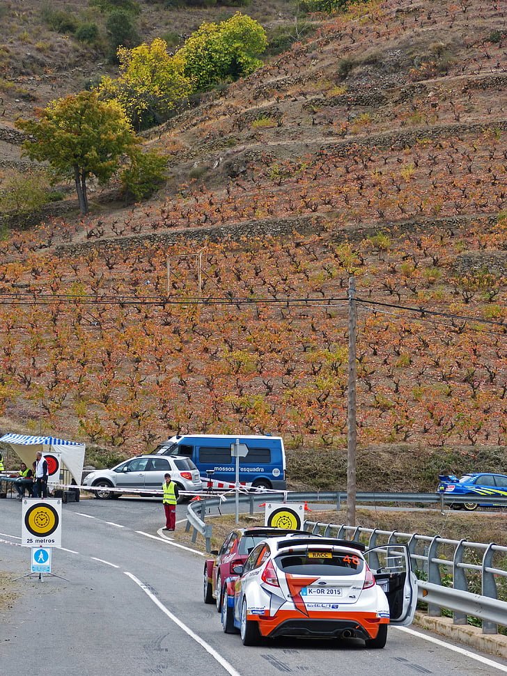 Rally catalunya, WRC, salida, tramo, control, Priorat, viñedos de