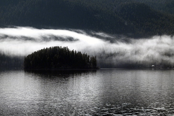 foggy, morning, lake, island, early morning, nature, water