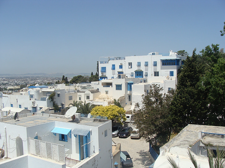арабська, Будинки, синій, Панорама, білий, місто, Туніс