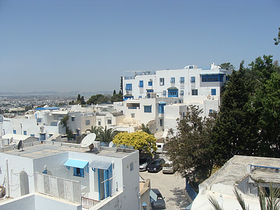 Αραβικά, σπίτια, μπλε, Πανόραμα, λευκό, πόλη, Τύνιδα