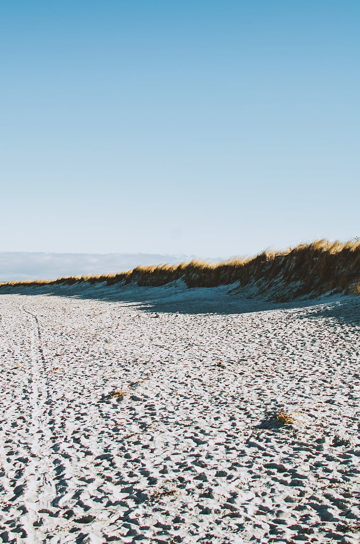 bijeli, pijesak, Foto, preko dana, trava, plaža pijesak, Obala