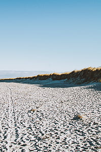 Белый, песок, Фото, дневное время, трава, песчаный пляж, берега