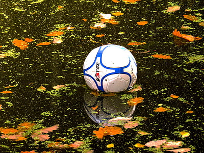 água, bola, polo aquático, na água, futebol, futebol, desporto