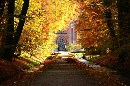 Замковый парк, Осень, Мекленбург, проспект, Джон плотина, Парк, обсаженной деревьями авеню