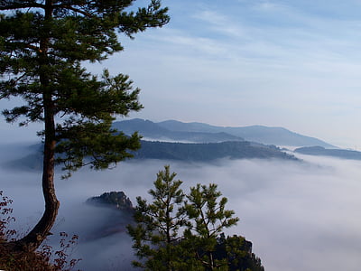 туман, сосна, Словакия, Природа, Гора, озеро, пейзаж