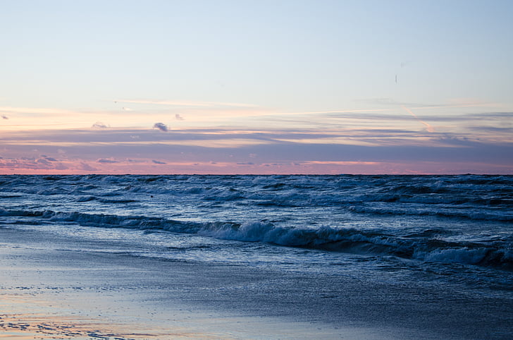 Seashore, målning, stranden, solnedgång, vinka, vågor, havet