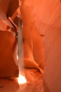 Lower canyon antelope, lumière, arbre, Canyon, antilope, Arizona, machine à sous