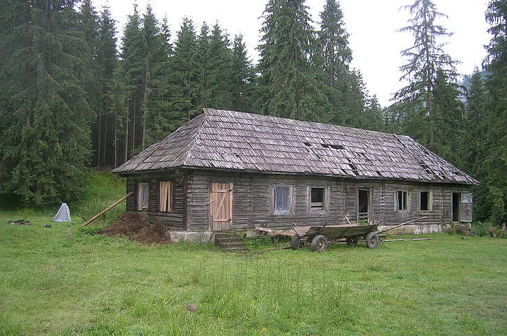 Rumania, granja, casa de madera, carro, bosque
