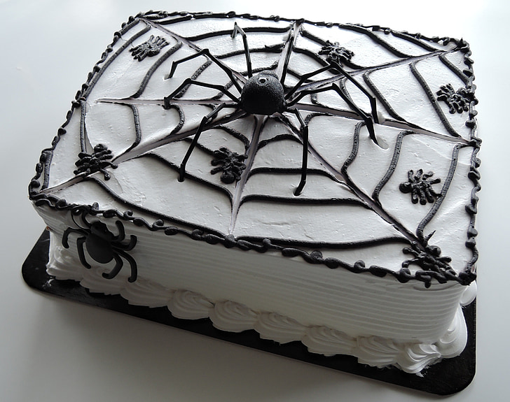 Halloween tårta, spindlar, webben, choklad, mat, dekoration