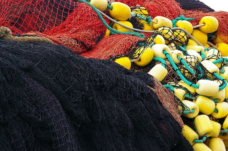 Collioure, port, net, pescuit