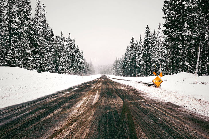 nature, trees, road, snow, cold, way, travel