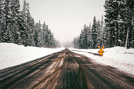 自然, 木, 道路, 雪, 冷, 方法, 旅行