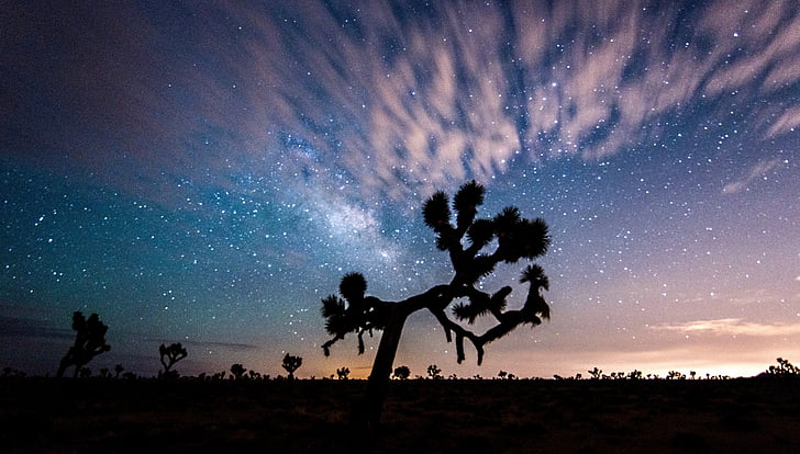 Joshua tree, západ slnka, Príroda, Desert, hviezdy, oblaky, Cosmos