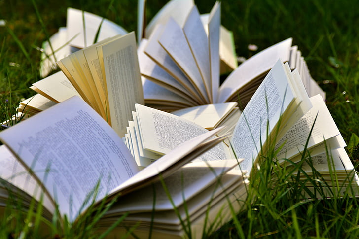 βιβλία, σελίδες βιβλίου, ριγμένη, Διαβάστε, λογοτεχνία, σελίδες, χαρτί