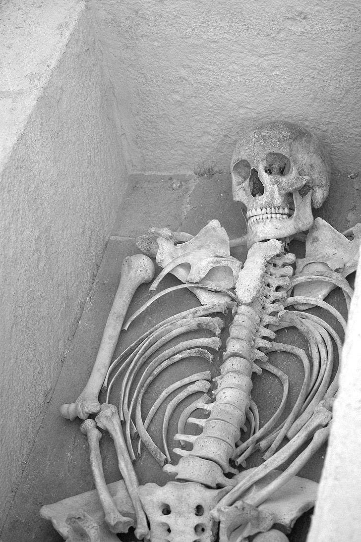 schelet, mormânt, sit arheologic, alb-negru, mort, moartea, umane