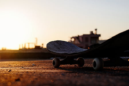 hnedá, drevené, skateboard, Zobrazenie, zem, Dawn, západ slnka