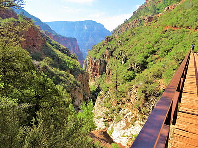 vandring, Bridge, North rim grand canyon, natursköna