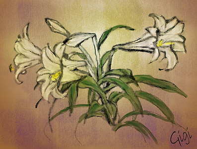 Lilys, kwiat, własny obraz, dzieła sztuki, malowane z myszy, Rysunek