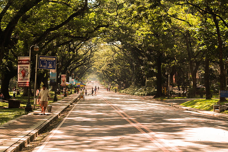 ovális, természet, fák, Manila, utca, az emberek, városi táj