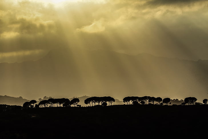 trees, plant, view, nature, outdoor, mountain, silhouette